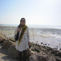 Shima sokout的照片