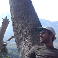 Fotos de Kieran Lonergan