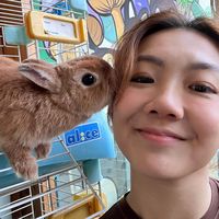 Huanling Lai's Photo