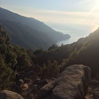 Sarah Da Conceiçao's Photo