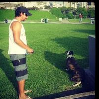 Cesar Soberon的照片