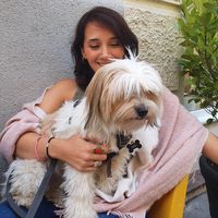 Fotos von Merve Ingerle