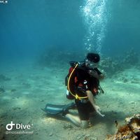 Siddiq Sportsman's Photo