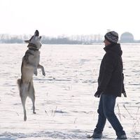 Alexandr Tvorogov的照片