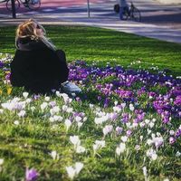 Tom Kebouda的照片