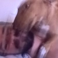 Mathiu Clementi Gutierrez's Photo