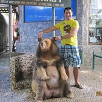 Алексей Аксенов的照片