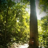 Alexandra  Perez的照片