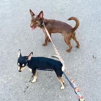 Fotos de Hugo Trolle