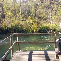 rafaela ronchi的照片