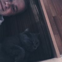 Виктор Зелёненький的照片