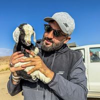 Mehdi Chettah's Photo