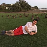 Haidar Ghasemi's Photo