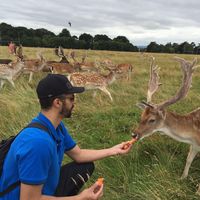 Ricardo Rabelo的照片