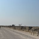 Roadtrip to Vic Falls - Swakop, Sandwich harbor 's picture