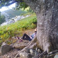 Frosso Karamanoli的照片