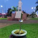 Intercambio Cultural🧉的照片