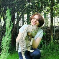 Le foto di Sepideh Amiri