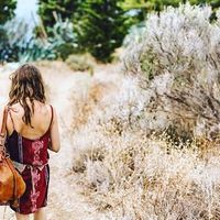 Sally Taylor的照片