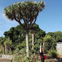 Anna Josepha的照片