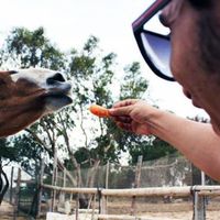 Mohamed Bargaoui's Photo