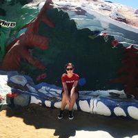 Irena Němická's Photo