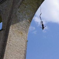 Julie Guérin's Photo