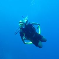 Alicia Falkenhahn's Photo