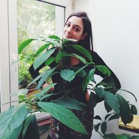 Julie Lebrun的照片