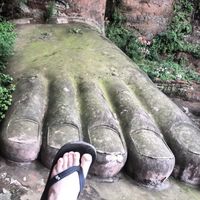 Nathan Willingham的照片