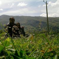 AMIR & SANAZ .'s Photo