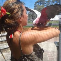 Lauren Pasqualino's Photo