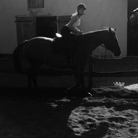 Anna Janasik's Photo