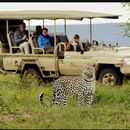 African Safari through Kenya's parks's picture