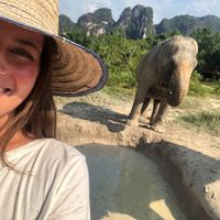 Laura Gruchot Olandersen's Photo