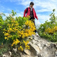 Sioujing Lin's Photo