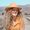 Maya Lombarts's Photo