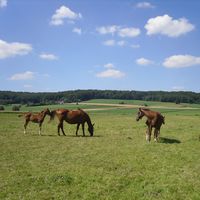 Robbert Avé's Photo