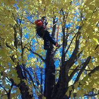 Simon Plamondon's Photo