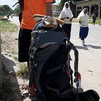 Theodore Harrison's Photo