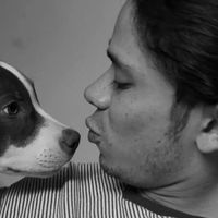 Фотографии пользователя Cristian Cardena