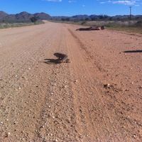 Fotos von Dana Fitzpatrick