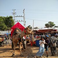 Photos de Bharat Seth