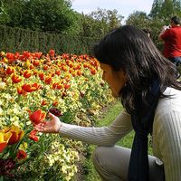 Monica Goulart's Photo