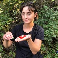 Brikena Gashi's Photo