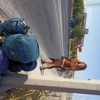 Delilah Viscogliosi的照片