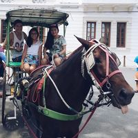 Vince Vandorpe的照片