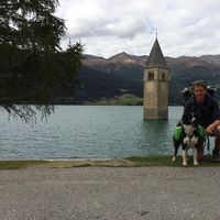 Thomas Van den Hende的照片