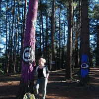 Lena Steffen's Photo