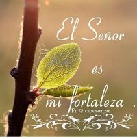 Helmer Quiscualtud's Photo